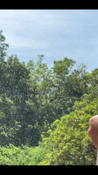 Wild & Milky: Nature Shower Edition Milky Super Power