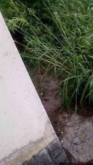 Exhib94: Mergând goală lângă depozit și vestiar abandonat