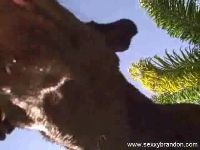 Sexxy Brandon: Sexxy brandon: divertimento in piscina: parte 3