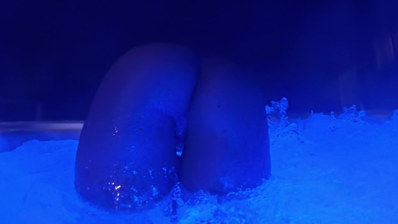 Black Swan: Desculță și Bubbles Blackswan o ia pe Groove