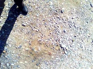 RavenBigAss: Kencing di dalam hutan, skirt tanpa seluar dalam
