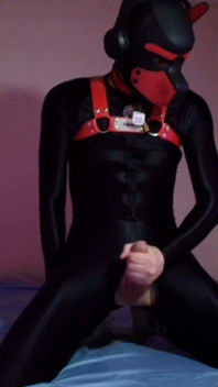 Remote Controlled Puppy Whimpers While Jerking off