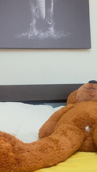 Saya meletakkan teddy bear merangkak dan datang ke atasnya