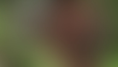 Locked due to age restriction