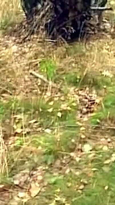 Mature Brunette Fingers Dripping Pussy in Forest Frenzy (NAUGHTYPOLSKA)
