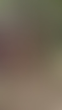 A Top with Curves Dick and Other Top with Long Dick Fuck a Twink Inside a Forest