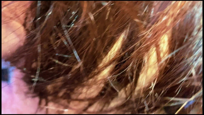 Tiyana: 彼女は夫がハードに後背位と正常位マンコのおならをファックするのが大好きです