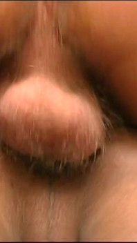 Very Hard Ebony Dick Trans Sucking Vol 1