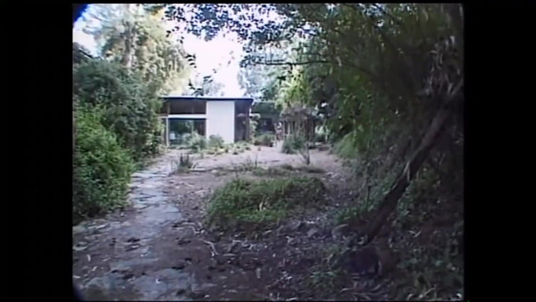 PURZEL TV - our best full movie: Špatná myšlenka