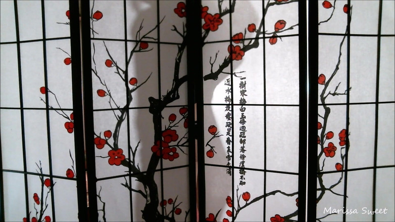 Marissa Sweet: Stuzzica La Silhouette / Dominazione Della Palla