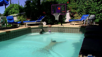 Homo Emo: Jacob lagi asik dientot habis-habisan