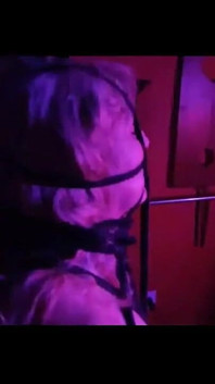Shibari Corpete Com Rimel