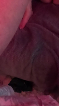 Cheating Wife Loves Dick