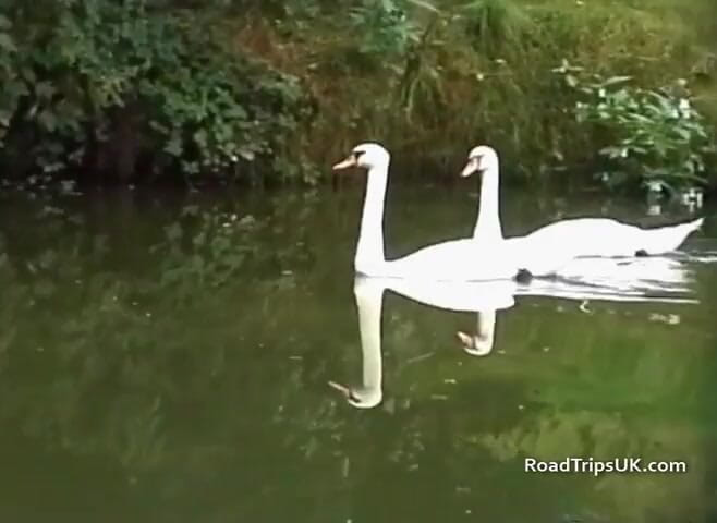 Road Trips UK: Viaje a Kent: Beck &amp; Louise