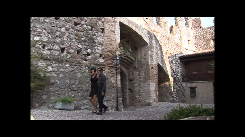 FM Video VOD: Vulgar Whimsical Pig (film)