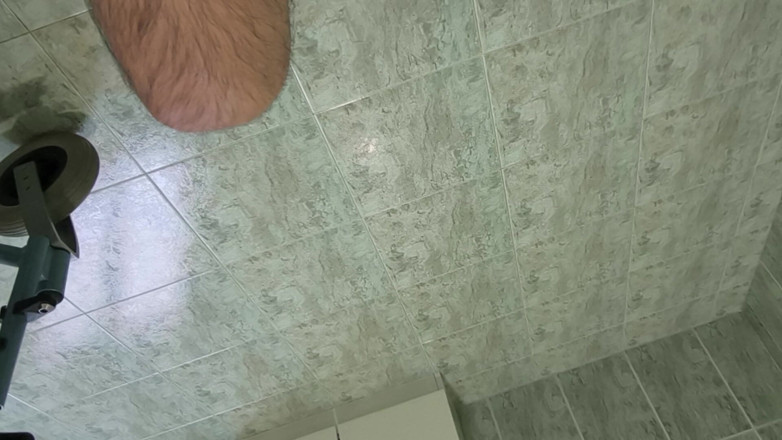 Alison 34monitor: Teď se jasně vidíme