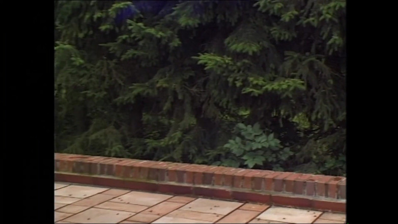 MMV TV - our best full movie: Feste Tedesche Spinte