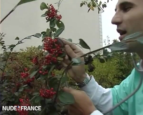 La France a Poil: Wouldn't That Beautiful Nurse Take Advantage of Her Status?