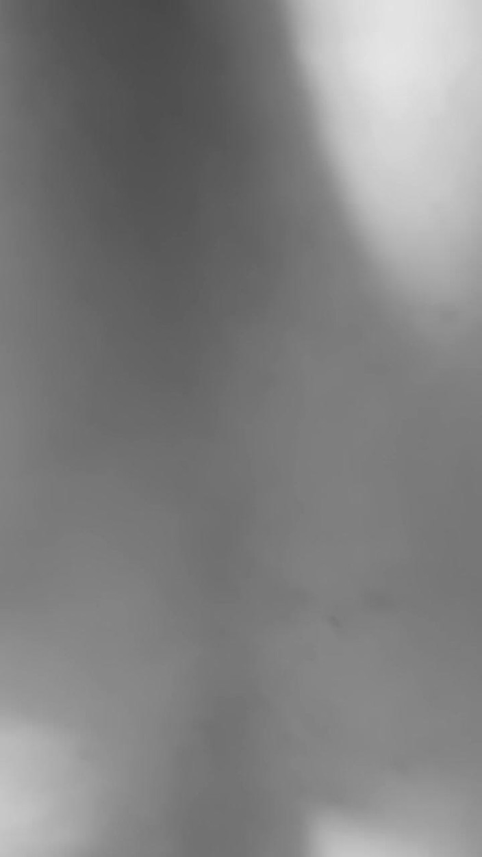 Iiwii 11BBC trans: Ftm Takedown