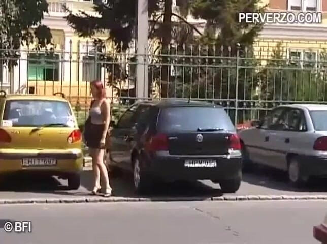 Pissing Girls: Вінтажна сеча на відкритому повітрі - DVD