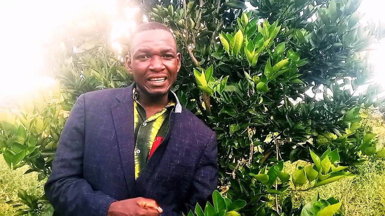 Judith xxx: Halo Dear