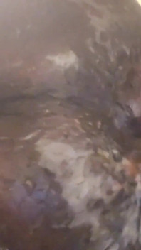 Wet and Creamy Anal