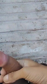 사정 없는 아침