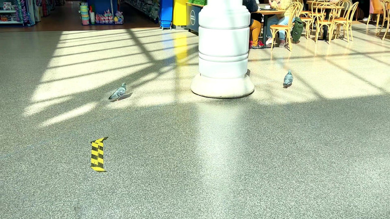 JessieHH: Letní šaty a podprsenka zkouší na Haul NSFW