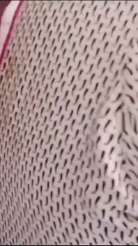 Wife Fucking with Ex-lover in Red Saree