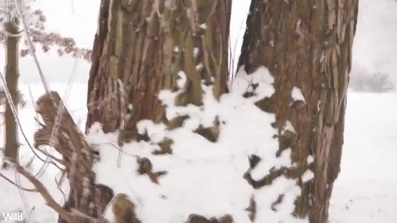 Watch4beauty: Frosty Nudity