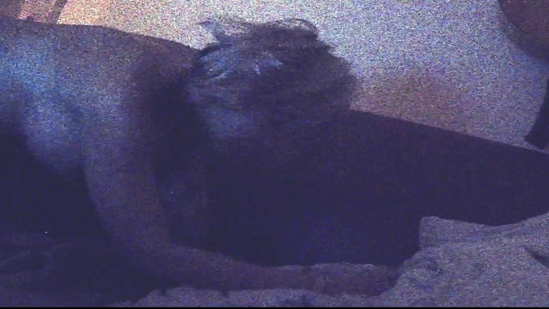 SilverFux: 浮気した主婦が復讐を果たし、親友の男性にドッグスタイルで抱かれている自分を撮影