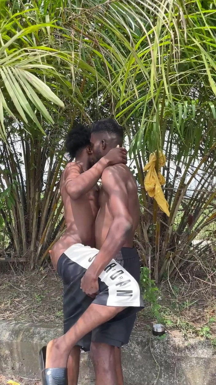 Vicfairy: Matón de arbusto