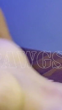 T#11 - Big Ass Big Tits (fake) Asian Fuck