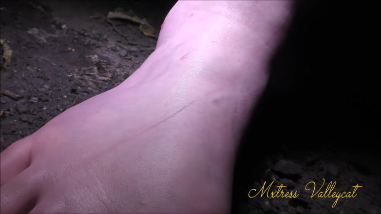 Mxtress Valleycat: The Unholy Soda From My Flesh