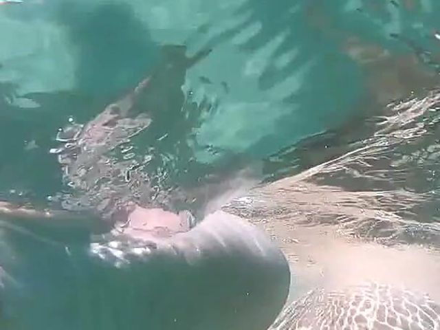 Im Meer (Susi's fetish)