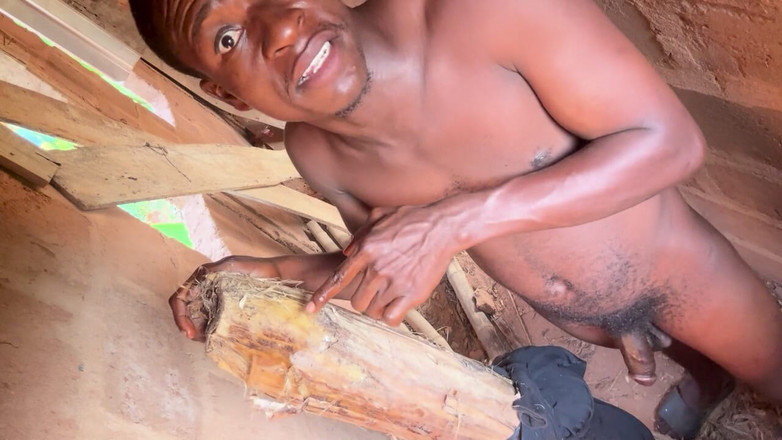 Bangcum8: Dm'de yeni yıl filmleri