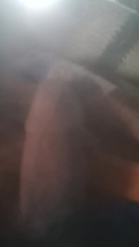 Dick Lovers