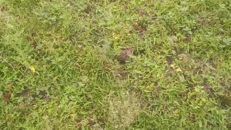 Priyanka314: Tamilská manželka s Hasband Outoor Sex