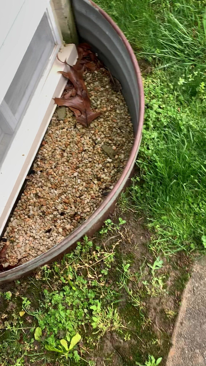 Jaycee starr: बॉयफ्रेंड द्वारा हस्तमैथुन करते हुए पकड़ा गया