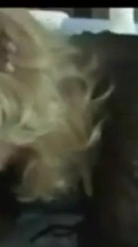 Uzależnienie BBC - 100 amatorskich i domowych filmów porno. MILF uzależnione od BBC i międzyrasowego Bangin