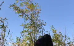 Lady Alice (mobile View 9:16) 10 Part 06