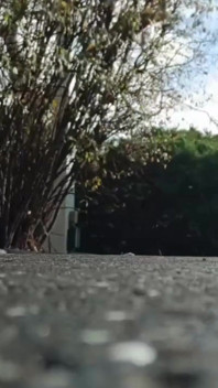 Assista Me Strut Away e Sashay de volta aos seus sonhos neste clipe exclusivo, piscando e você vai perder