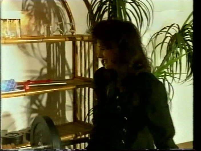 Euro Blue Movies: Sexmaster prins av passion (1992)
