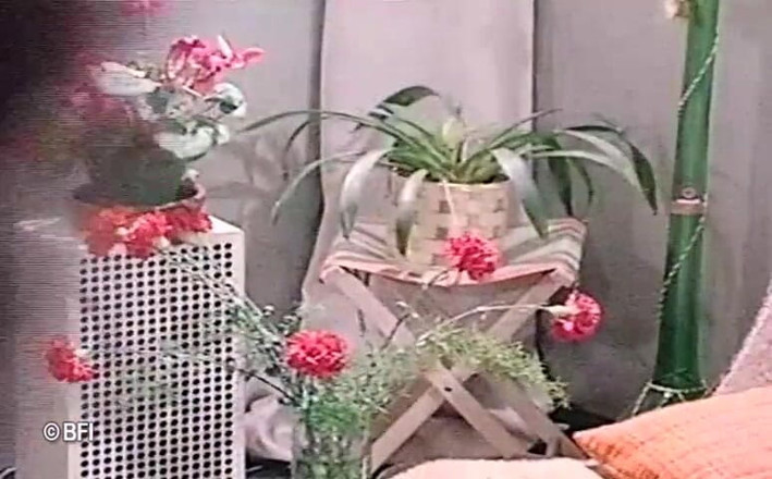 Vintage bedtime stories: Дівчина отримує анал у барі, вінтажне відео.