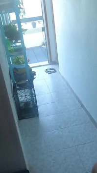 Birbirlerinin ağzına işiyor ve yutuyor