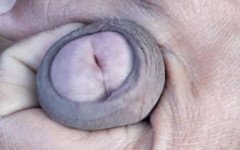 Che: Melancap zakar besar hitam lelaki India