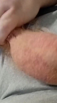 Mi polla dura para tu disfrute