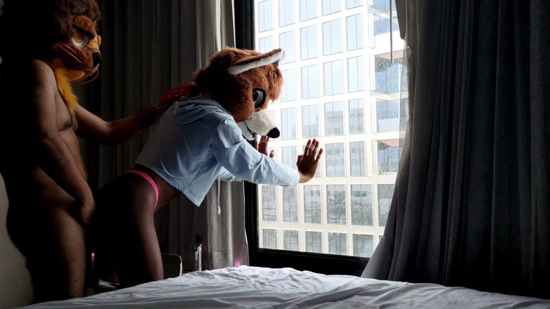 PawgrammerSocks: Futai fără prezervativ în costum femboy furry în fața ferestrei