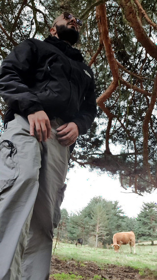 Liamgaell27: Eu me perdi na floresta, alguém pode me ajudar?