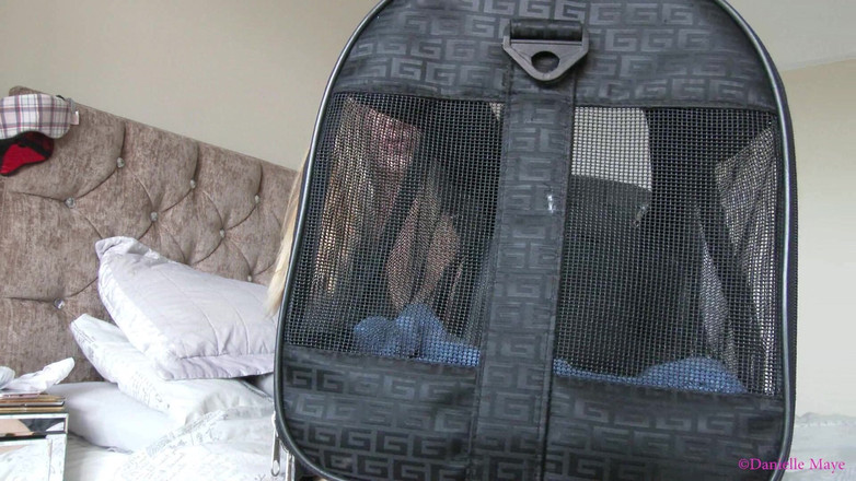 Danielle Maye: Tiny's New Home